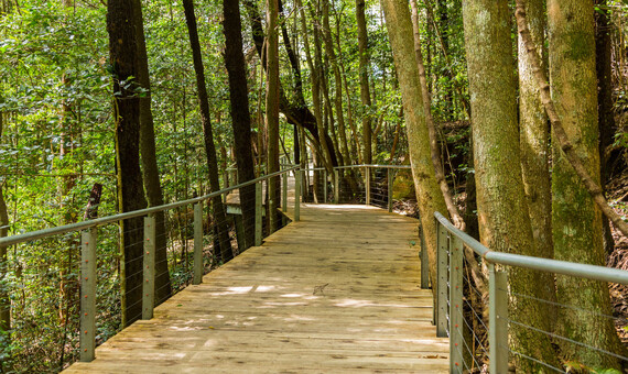 健行步道 Scenic Walkway